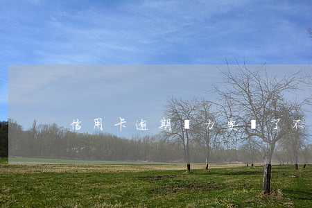 信用卡逾期無力要瘋了(不小心信用卡逾期)