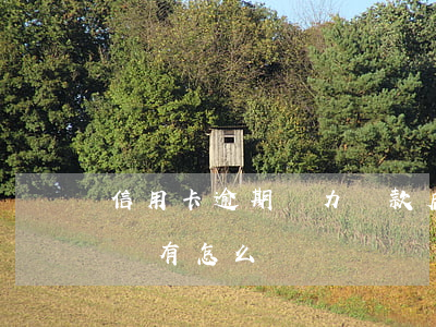 信用卡逾期無力還款后果(信用卡逾期無力償還有怎么辦)