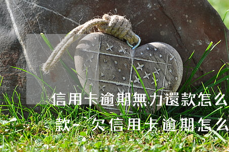 信用卡逾期無力還款怎么協(xié)商還款-欠信用卡逾期怎么去協(xié)商