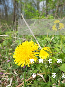 信用卡逾期無力還被起訴怎么辦(如果我信用卡還不起被起訴怎么辦)