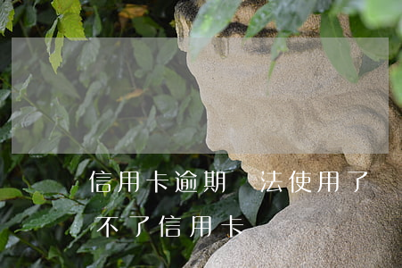 信用卡逾期無法使用了(沒有過逾期為什么辦不了信用卡)