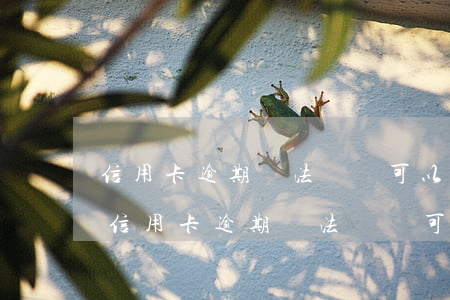 信用卡逾期無法償還可以協(xié)商嗎 信用卡逾期無法償還可以協(xié)商嗎