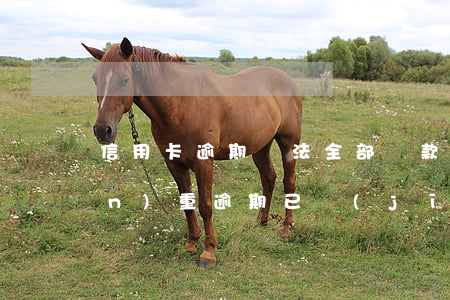 信用卡逾期無法全部還款(信用卡有嚴(yán)重逾期已經(jīng)還清)