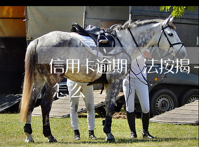 信用卡逾期無法按揭-信用卡逾期無法按揭怎么辦