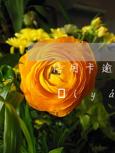 信用卡逾期無法最低還款(低額度信用卡逾期嚴(yán)重嗎)