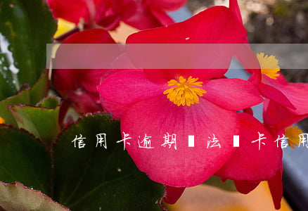 信用卡逾期無法開卡(信用卡逾期)