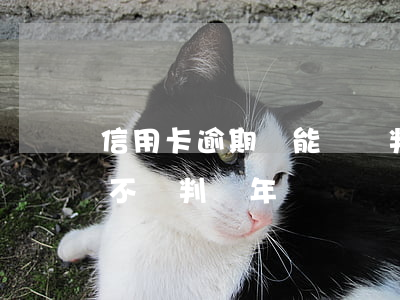 信用卡逾期無能償還判幾年(信用卡6萬逾期不還判幾年)