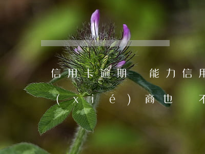信用卡逾期無能力(信用卡逾期無能力償還協(xié)商也還不起)