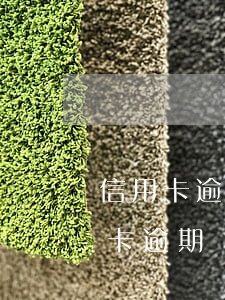 信用卡逾期無能力償還怎么辦上海-欠信用卡逾期確實(shí)沒能力還怎么辦