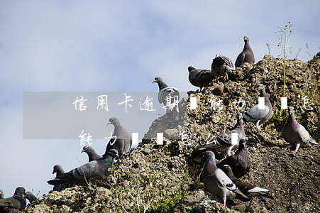 信用卡逾期無能力償還怎么辦(信用卡逾期無能力償還怎么辦)