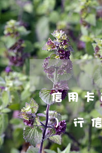 信用卡逾期無資產(chǎn)執(zhí)行(信用卡逾期無資產(chǎn)執(zhí)行)