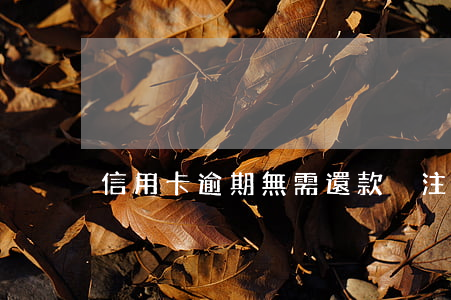 信用卡逾期無需還款(沒注意信用卡逾期了)