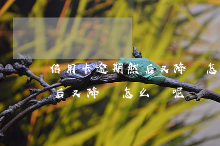 信用卡逾期然后又降額怎么辦(信用卡逾期然后又降額怎么辦呢)