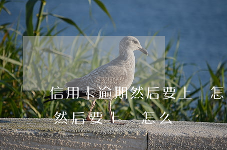 信用卡逾期然后要上門怎么辦呢（信用卡逾期然后要上門怎么辦）