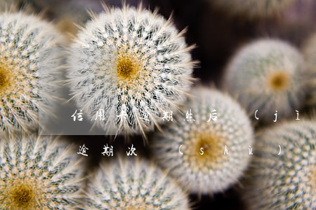 信用卡逾期然后計(jì)算(怎么看信用卡逾期次數(shù))
