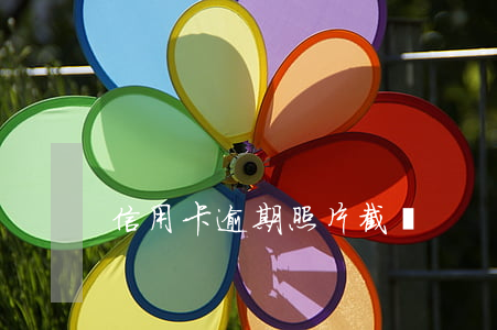 信用卡逾期照片 截圖