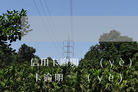 信用卡逾期營業(yè)廳能查出來嗎(信用卡逾期營業(yè)廳能查出來嗎嗎)
