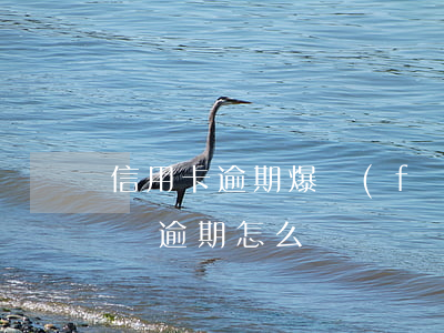 信用卡逾期爆發(fā)怎么處理(信用卡面臨逾期怎么辦)