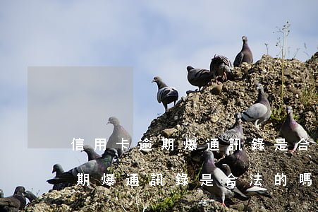 信用卡逾期爆通訊錄是合法的嗎-信用卡逾期爆通訊錄是合法的嗎