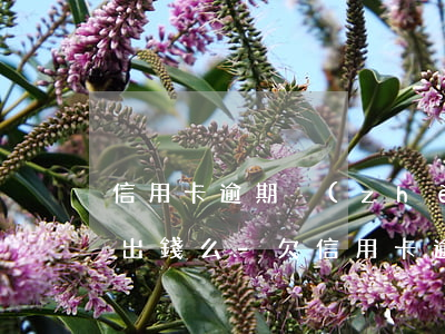 信用卡逾期爭(zhēng)信沒了還能套出錢么-欠信用卡逾期確實(shí)沒能力還怎么辦