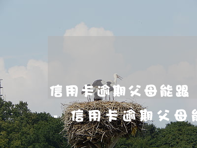 信用卡逾期父母能跟銀行協(xié)商嗎-信用卡逾期父母能跟銀行協(xié)商嗎知乎