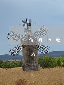 信用卡逾期特殊申請(信用卡逾期特殊申請怎么寫)