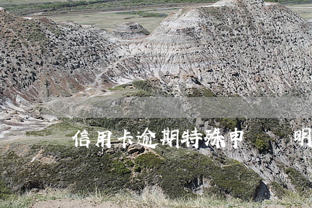 信用卡逾期特殊申請證明(信用卡逾期申述)