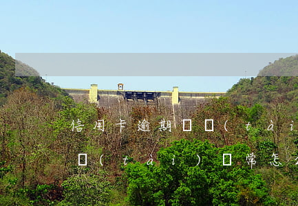 信用卡逾期狀態(tài)-信用卡逾期狀態(tài)異常怎么解決