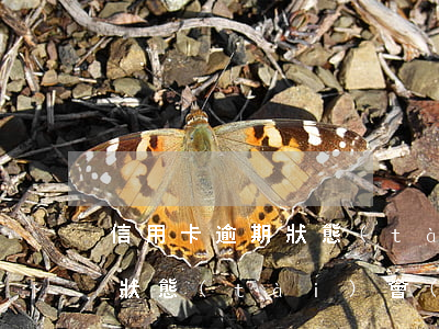 信用卡逾期狀態(tài)w0(信用卡逾期狀態(tài),會(huì)從儲(chǔ)蓄卡中自動(dòng)扣款嗎?)
