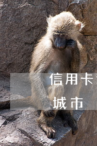 信用卡逾期率2018(信用卡逾期率最高的城市)