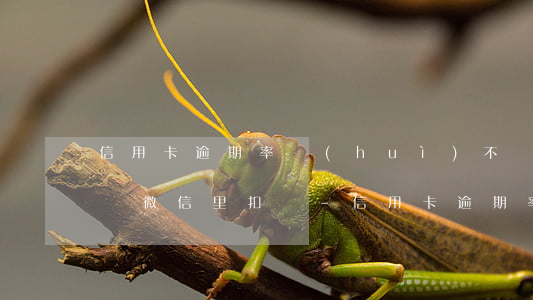信用卡逾期率會(huì)不會(huì)從微信里扣錢-信用卡逾期率會(huì)不會(huì)從微信里扣錢呢