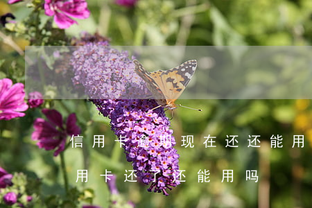 信用卡逾期现在还还能用吗6(逾期几年的信用卡还了还能用吗)