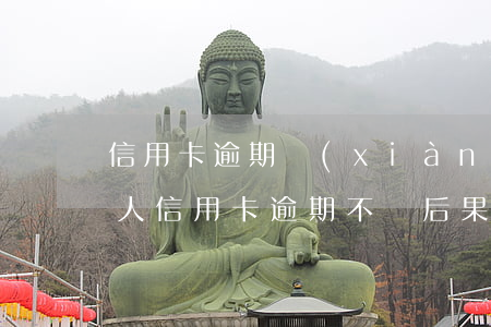 信用卡逾期現(xiàn)在人在國外(美國人信用卡逾期不還后果)