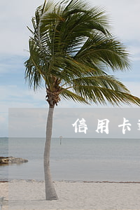 信用卡逾期現(xiàn)在收到銀行賬單