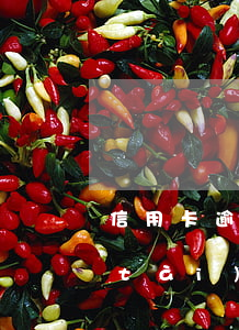 信用卡逾期現(xiàn)在是停息狀態(tài) 停發(fā)的信用卡到期了