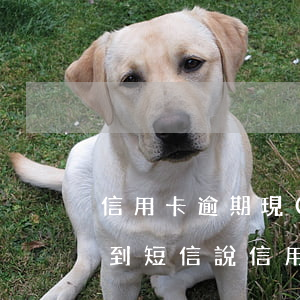 信用卡逾期現(xiàn)在是黑名單了(收到短信說信用卡逾期列入黑名單)
