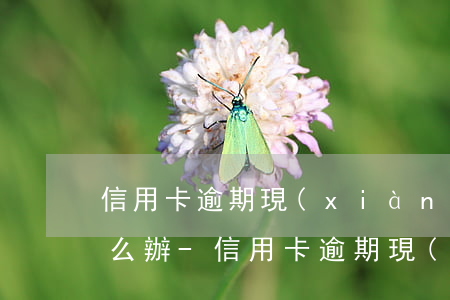 信用卡逾期現(xiàn)在沒能力還款怎么辦-信用卡逾期現(xiàn)在沒能力還款怎么辦呢