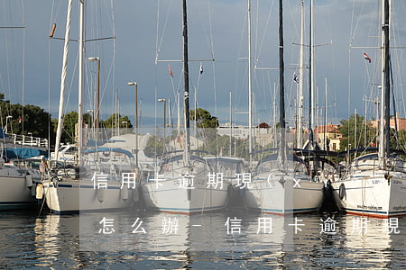 信用卡逾期,現(xiàn)在無力償還,我該怎么辦-信用卡逾期,現(xiàn)在無力償還,我該怎么辦呢
