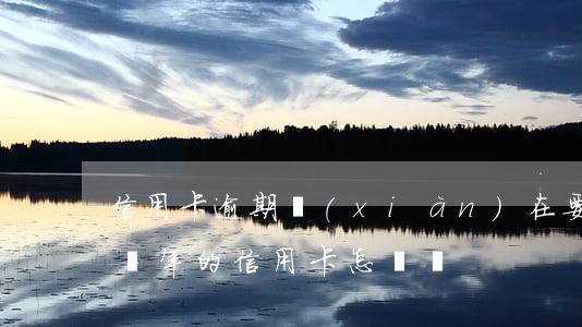 信用卡逾期現(xiàn)在要還多少(逾期幾年的信用卡怎樣還)