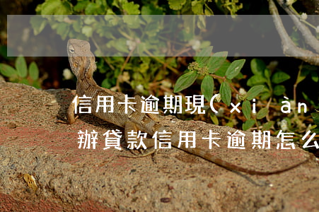 信用卡逾期現(xiàn)在貸款怎么辦-辦貸款信用卡逾期怎么說
