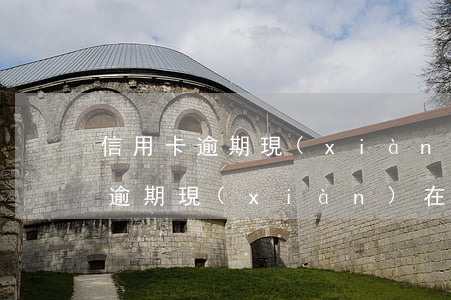信用卡逾期現(xiàn)在還不上(信用卡逾期現(xiàn)在還不上)