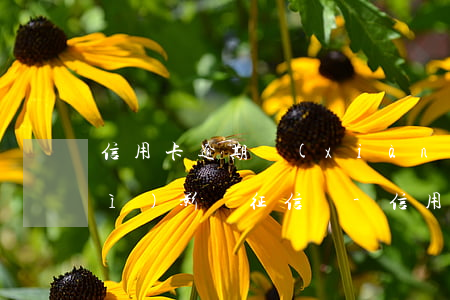 信用卡逾期現(xiàn)在還了會(huì)影響征信嗎-信用卡逾期現(xiàn)在還了會(huì)影響征信嗎知乎