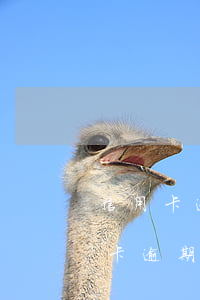 信用卡逾期現(xiàn)在還完了-信用卡逾期現(xiàn)在還完了怎么辦