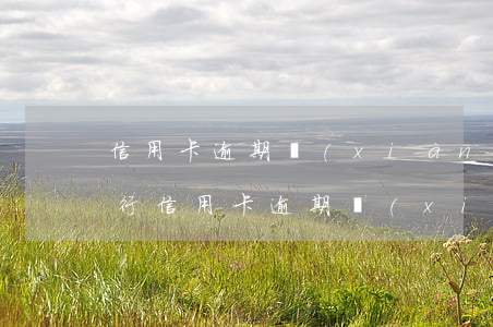 信用卡逾期現(xiàn)場執(zhí)行 信用卡逾期現(xiàn)場執(zhí)行報告