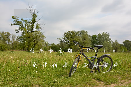 信用卡逾期現(xiàn)場抓捕-公安局受理信用卡逾期案件嗎