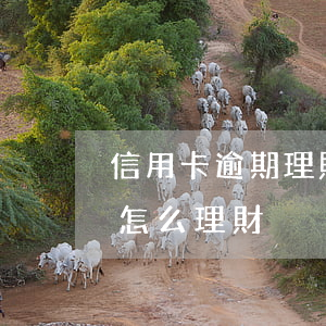 信用卡逾期理財產(chǎn)品(欠信用卡怎么理財)