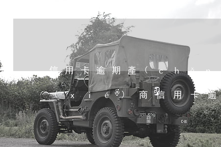 信用卡逾期產(chǎn)生利息了怎么協(xié)商(信用卡 逾期罰息 逾期利息)