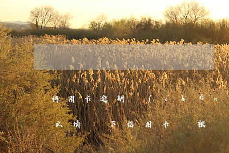 信用卡逾期產(chǎn)生的不良影響(什么情況下信用卡會被認為嚴重逾期)