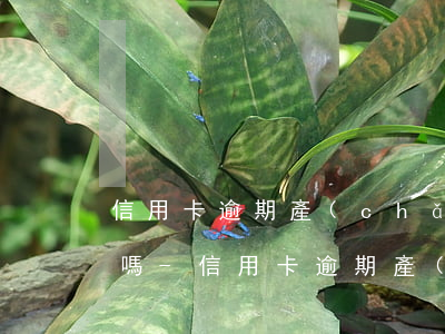 信用卡逾期產(chǎn)生的利息必須還嗎-信用卡逾期產(chǎn)生的利息必須還嗎怎么辦