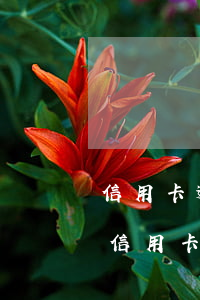 信用卡逾期產(chǎn)生的利息高嗎(欠信用卡逾期利息超過本金)